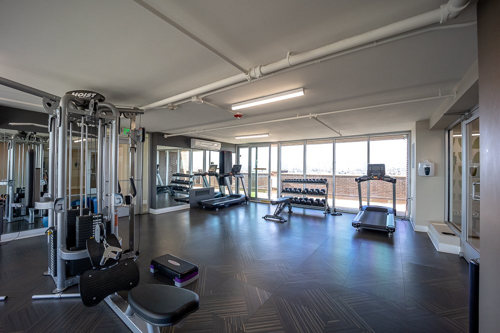 Fully Renovated Gym Area