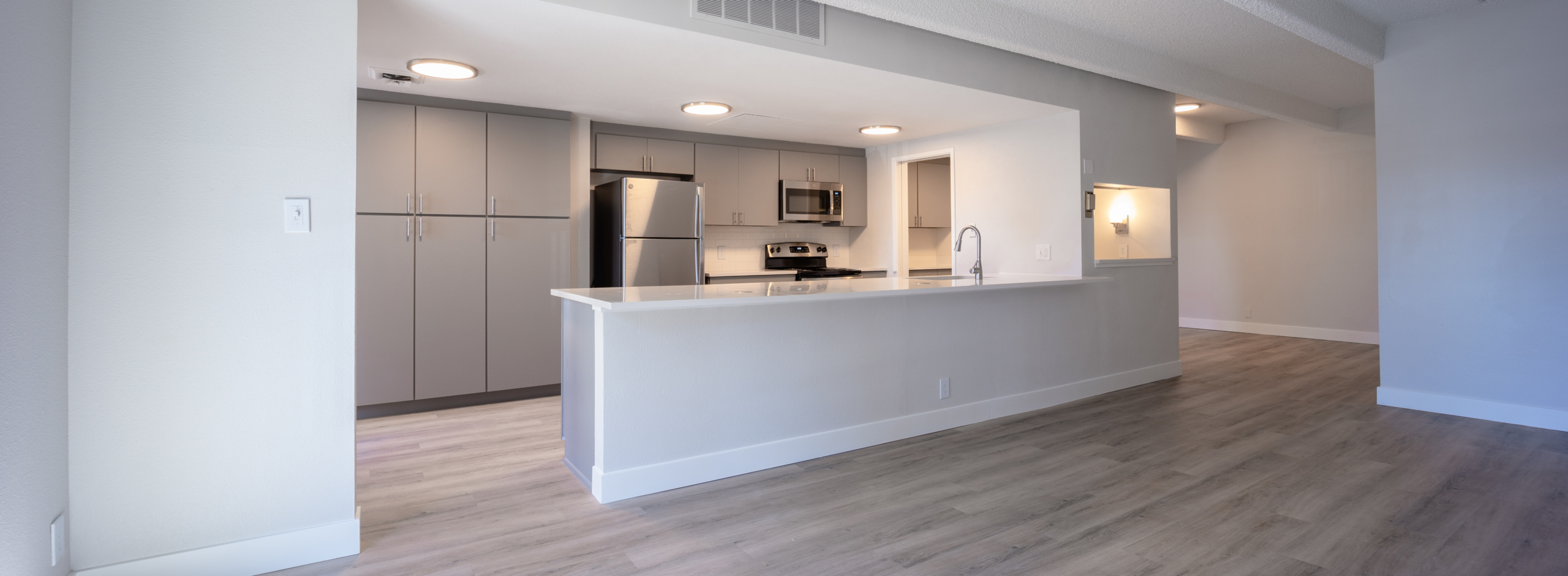 Lex and Lowry Upgraded Multifamily Unit Renovation