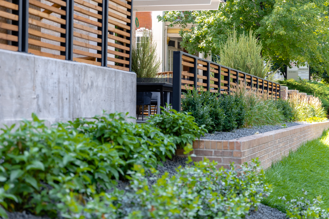 Landscape Denver Multi-family renovation