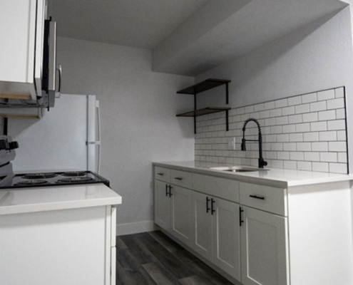 Denver Apartment Kitchen Renovation