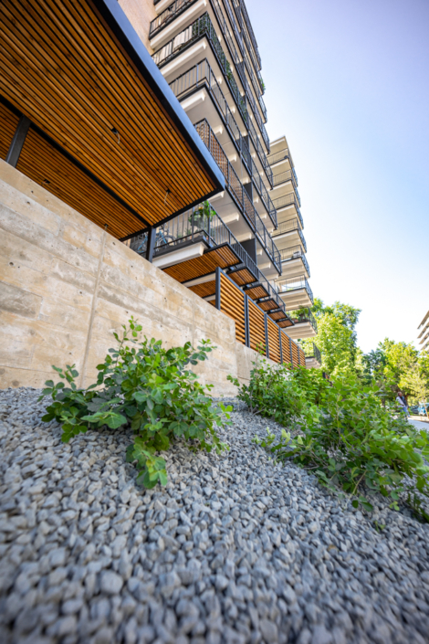 Exterior Landscaping Multifamily Construction